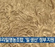 청주 우리밀영농조합, ‘밀 생산’ 정부 지원