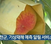 옥천군, 기상재해 예측 알림 서비스