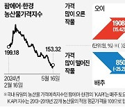 金사과 이어 金토마토 되나…1년 새 두 배 '껑충'