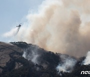 올봄 국내 산불 줄었는데 '지구 허파'는 불탔다…기후대응에 악영향