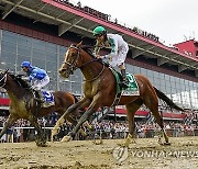 Preakness Horse Racing