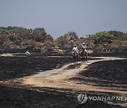 APTOPIX Mexico Wildfires