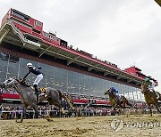 APTOPIX Preakness Horse Racing