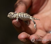 US Mexico Border Biodiversity