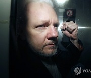 Britain Assange Things to Know