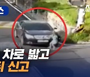 [자막뉴스]초등생 차로 밟고 41초 뒤 신고