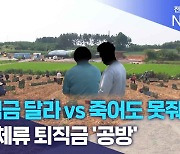 "퇴직금 달라 vs 죽어도 못줘".. 불법체류 퇴직금 '공방'