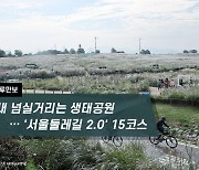 [하루만보]억새 넘실거리는 생태공원 … '서울둘레길 2.0' 15코스