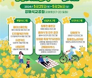 창릉천 물길 따라 유채꽃 향연…고양시, 창릉천 유채꽃축제 개최