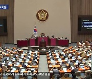 [집중취재] 특별자치도 ‘우후죽순’…강원특별법 3차 개정 ‘고심’