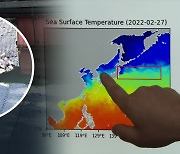 쿠로시오 해류의 진격…적도 열기 품고 6km씩 북상