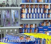 Fireworks based on North Korea's 'monster ICBM' on sale at Pyongyang toy store