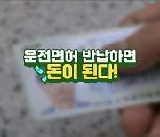 운전면허 반납하면 돈이 된다! [돈이 보이는 VCR]