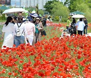 울산, 낮 최고 28도 더위…큰 일교차 주의