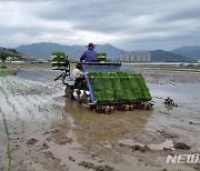 전북 한낮 24~28도 맑음…식중독 지수 '경고'