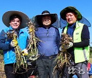 바닷길 뛰어넘은 농협간 협동 빛났다