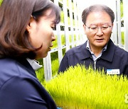 우량모 공급…농가 일손 걱정 던다