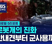 [글로벌D리포트] 로봇개의 진화…안내견부터 군사용까지