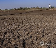 India Climate Election