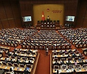 Vietnam Politics