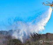 경북지역 올해 산불 발생 건수 전년보다 74% 줄어
