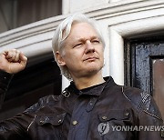 Britain Assange Timeline