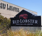 Red Lobster Bankruptcy