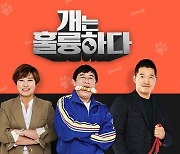 강형욱 직장 내 괴롭힘 논란에 KBS '개는 훌륭하다' 결방