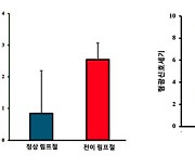 "자궁암 수술 중 림프절 전이 유무 확인. 제거 가능 수술법 개발"