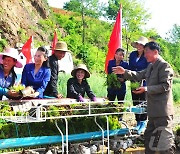 북한, 모내기 작업 작년보다 1.7배 빨라…농업 생산량 확대 기대