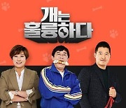 강형욱, 직장 내 괴롭힘 의혹에…KBS ‘개는 훌륭하다’ 결방