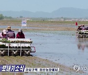 이앙기로 모내기하는 북한 주민들