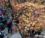 등산, 단순한 걷기 아냐…에너지 섭취 못하면 내려올 때 '휘청'[100세운동법]