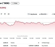 엔비디아 0.64% 상승에도 필라델피아반도체지수 0.31%↓(상보)