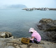 [김준의 맛과 섬] [191] 진도 맹골도 군부무침