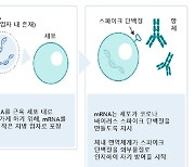 [ET시론]팬데믹 종식의 핵심,'mRNA 백신 기술' 2027년까지 국산화