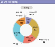 네이버도 제친 인스타, '국민 SNS' 등극하나