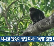 [기후는 말한다] 멕시코 원숭이 집단 폐사…‘폭염’ 원인 추정