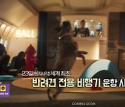 [오늘의 영상] 개도 비행기에 탑승한다고? 세계 최초 반려견 전용 비행기 운항 개시