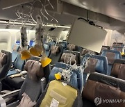 사람 잡은 '난기류'…"기후온난화가 키웠다"