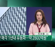 에스엠, 헬스기구 판매사업 정리 [엔터프라이스]