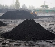 Chinese coal group cuts 2024 output forecast