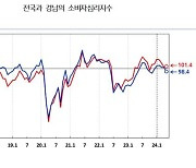 5월 경남 소비심리 '맑음'…'CCSI 101.4' 장기평균 상회