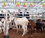 함양산청축협,경남 최초 ‘염소경매시장’ 문 열었다