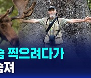 [글로벌D리포트] 엄마 사슴 찍으려다가…관광객 숨져