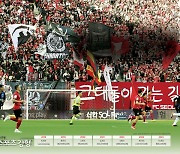 K리그 게임당 11,462명…A매치는 떴다하면 매진[축구, 스포츠를 넘어 산업으로]