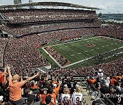 Bengals Stadium Football