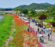 장성 황룡강 길동무 꽃길축제 24일 개막