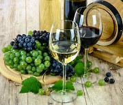 관세 없앴더니…中서 호주 와인 수입 '80배' 늘었다
