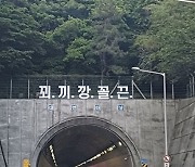 ‘꾀·끼·깡·꼴·끈’ 부산 터널 입구 괴문자 논란…시민들 황당